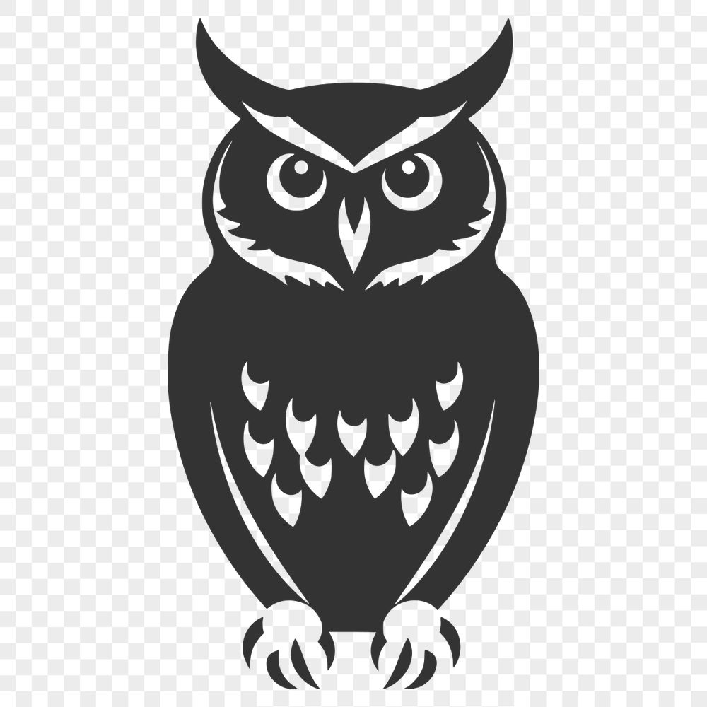 Beautiful Perched Owl PNG