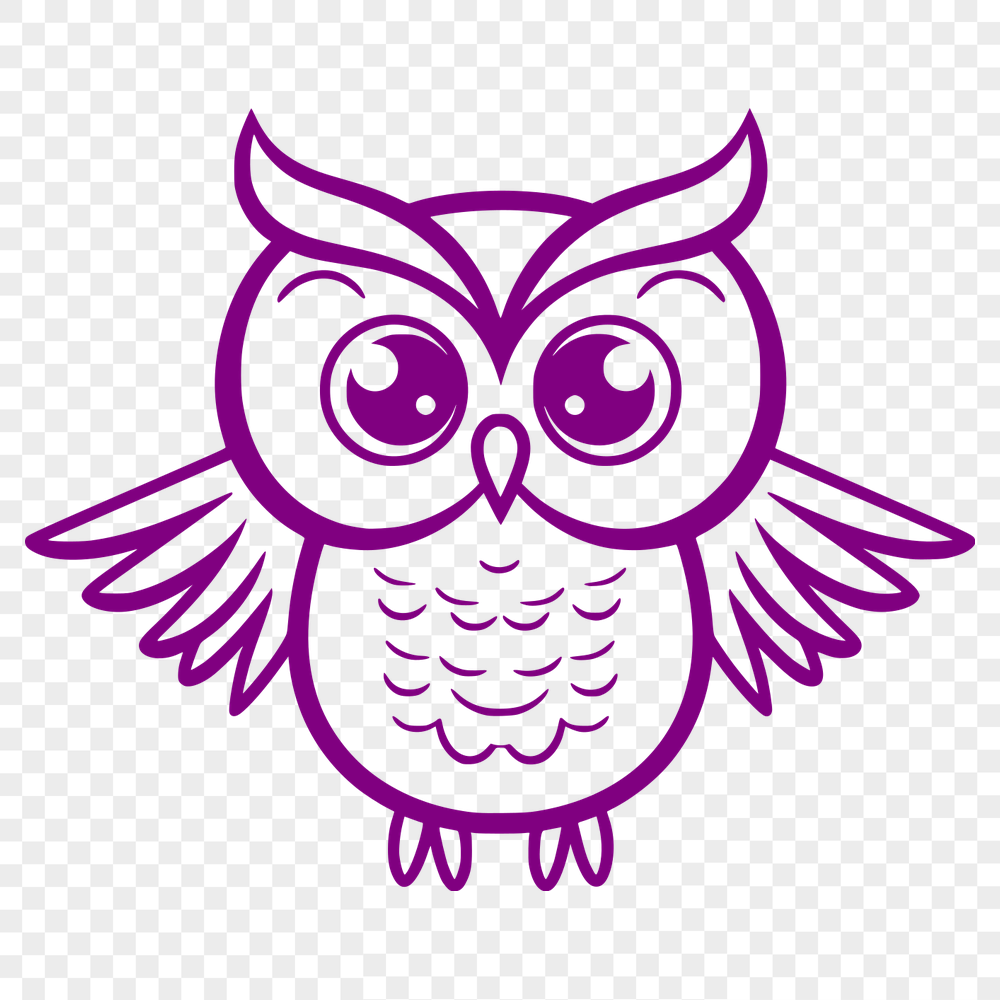 Creative Owl PNG