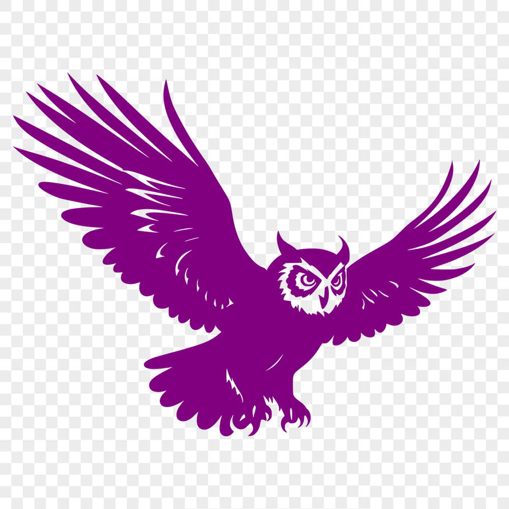 Beautiful Owl Vector Craft File