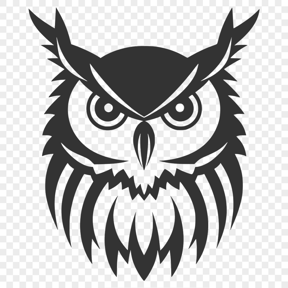 Artistic Owl Drawing