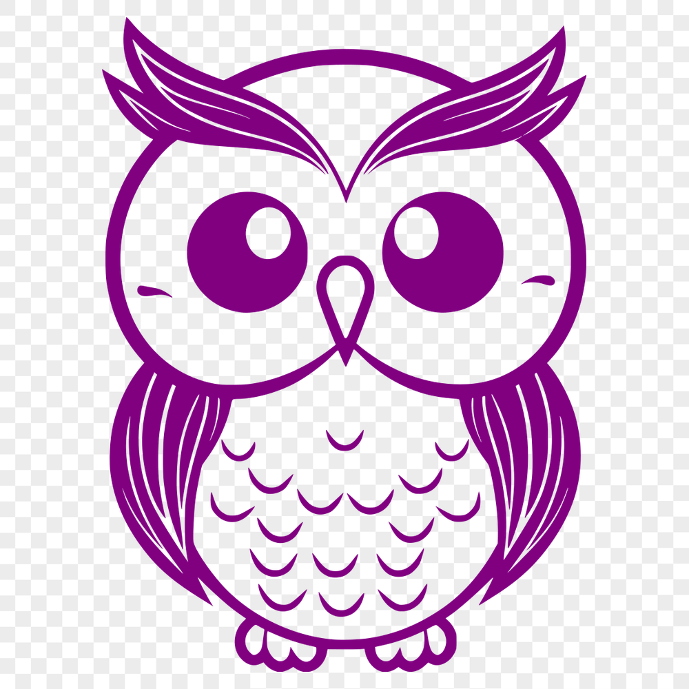 Beautiful Owl PDF