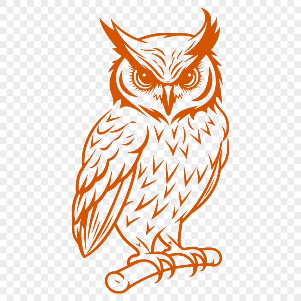 Beautiful Perched Owl PDF