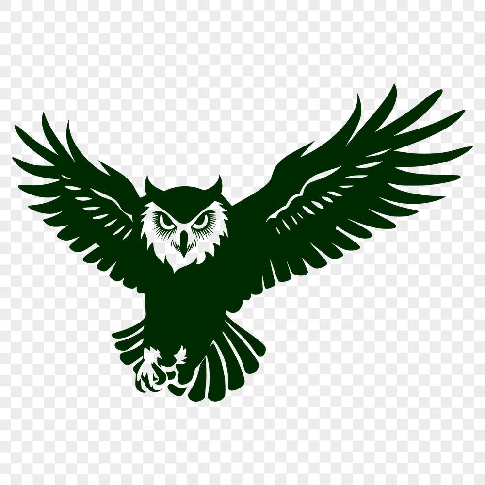 Flying Owl Image