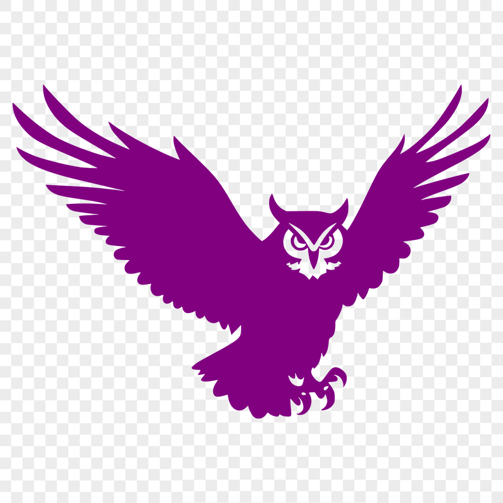 Artistic Flying Owl PNG