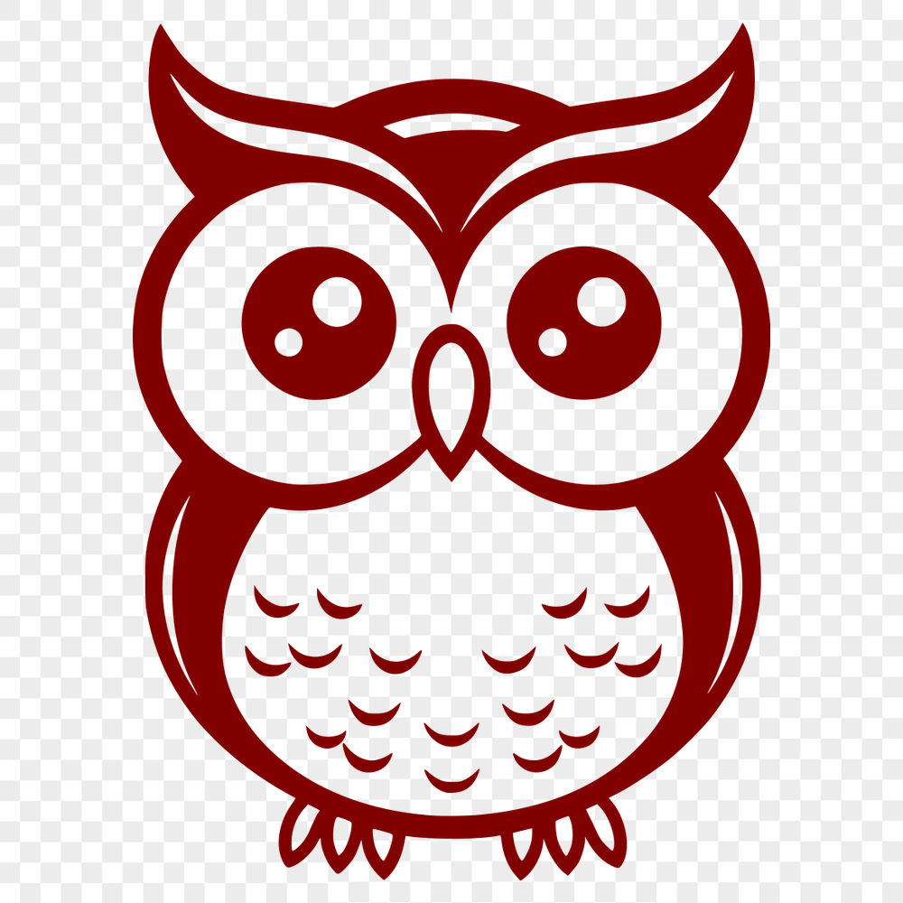 Stunning Owl Vector Drawing