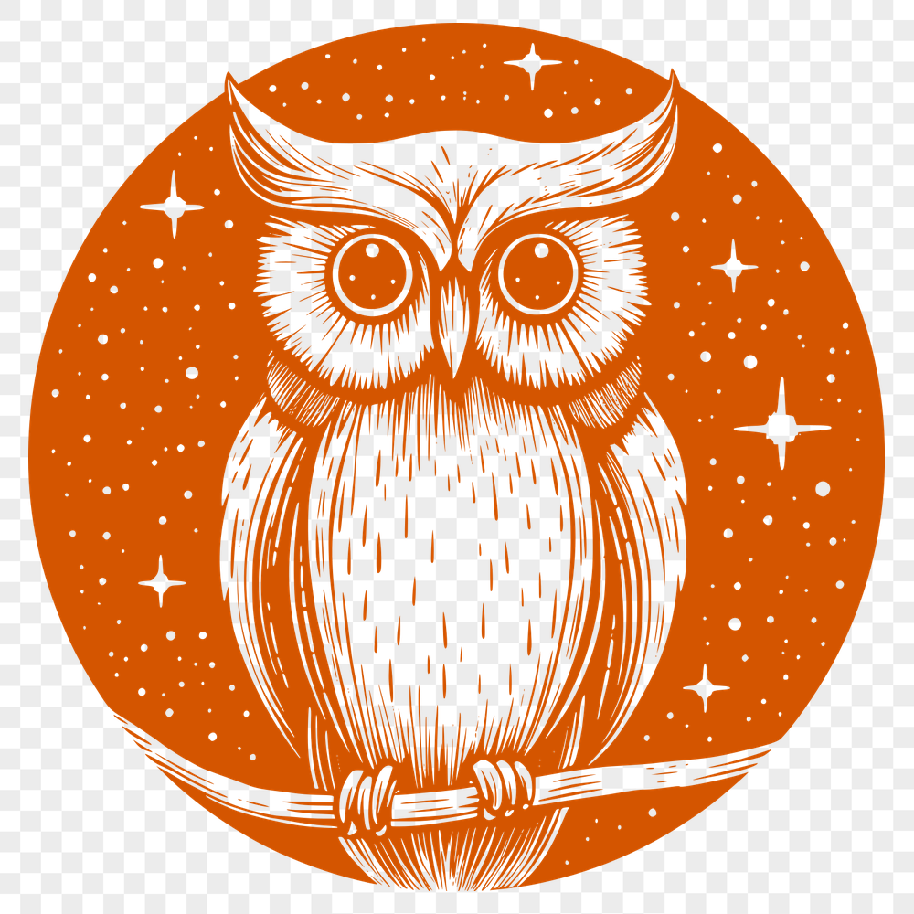 Creative Owl - For Witchcraft Project