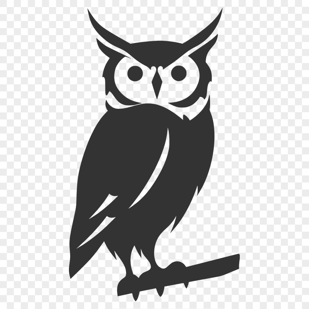 Perched Owl PNG