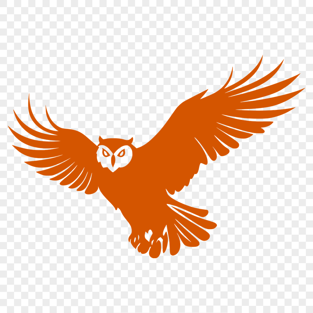 Flying Owl SVG