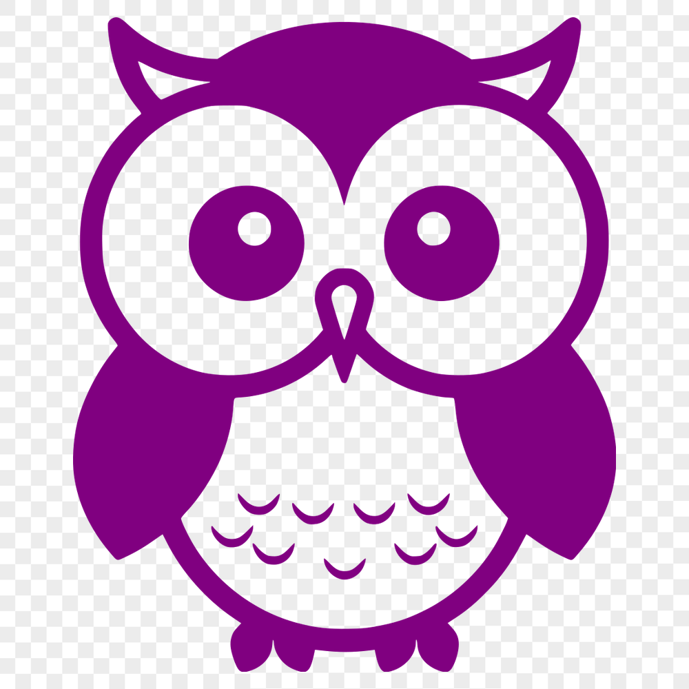 Creative Owl Digital Drawing