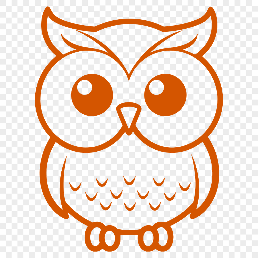 Stunning Owl Digital Drawing