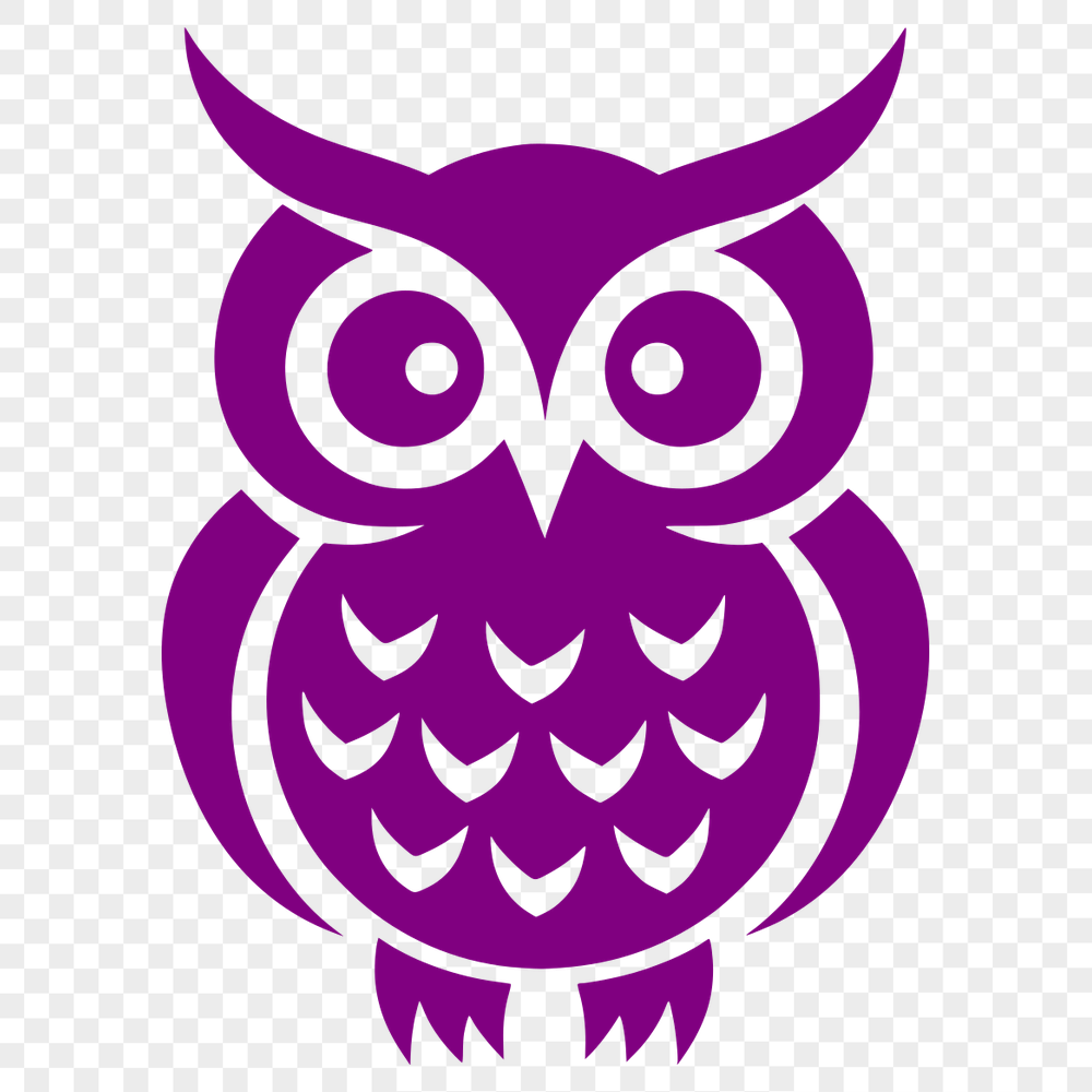 Unique Owl Drawing