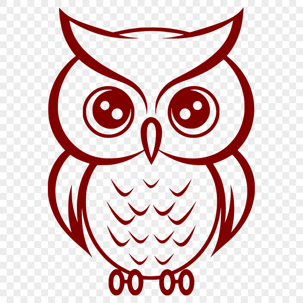 Free Stunning Owl Digital Drawing