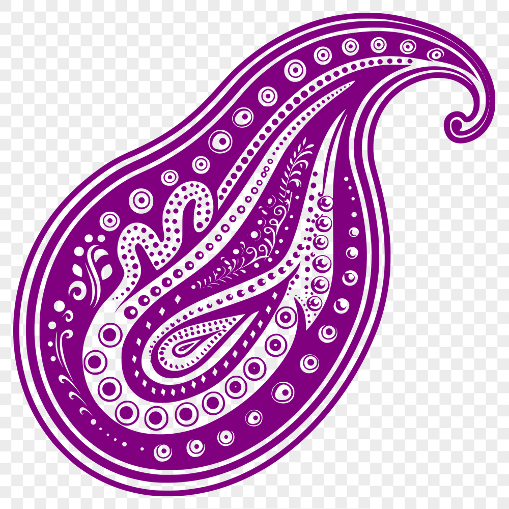 Artistic Paisley Digital Drawing