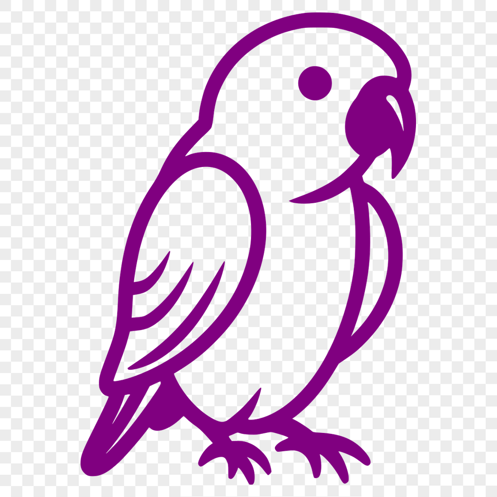 Unique Parrot Image