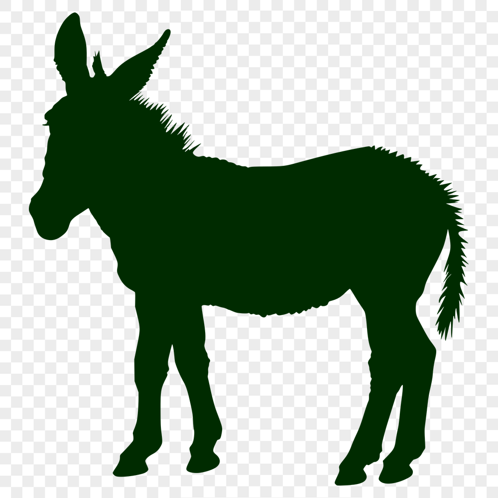 Unique Donkey Illustration