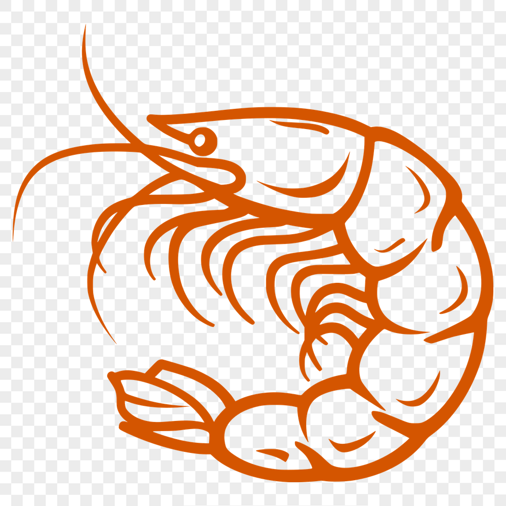 Free Unique Prawn Vector Illustration