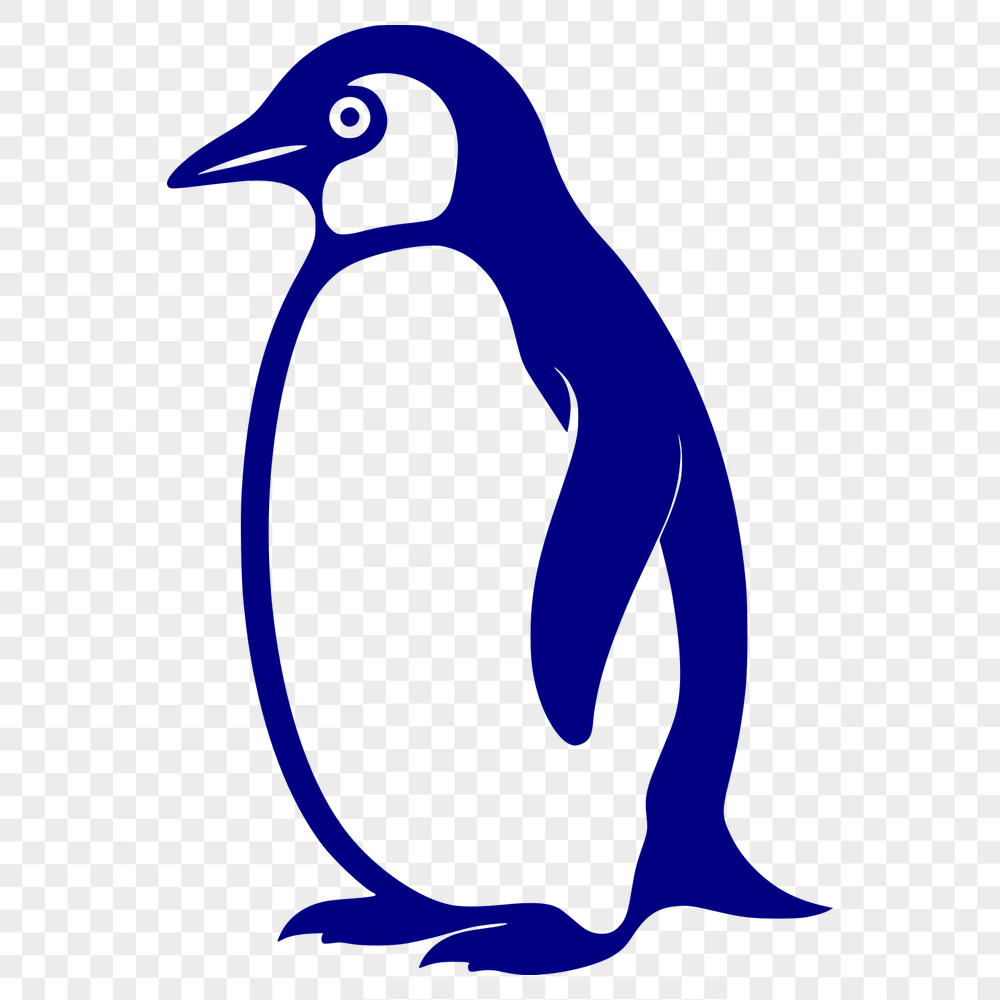 Unique Penguin Digital Artwork