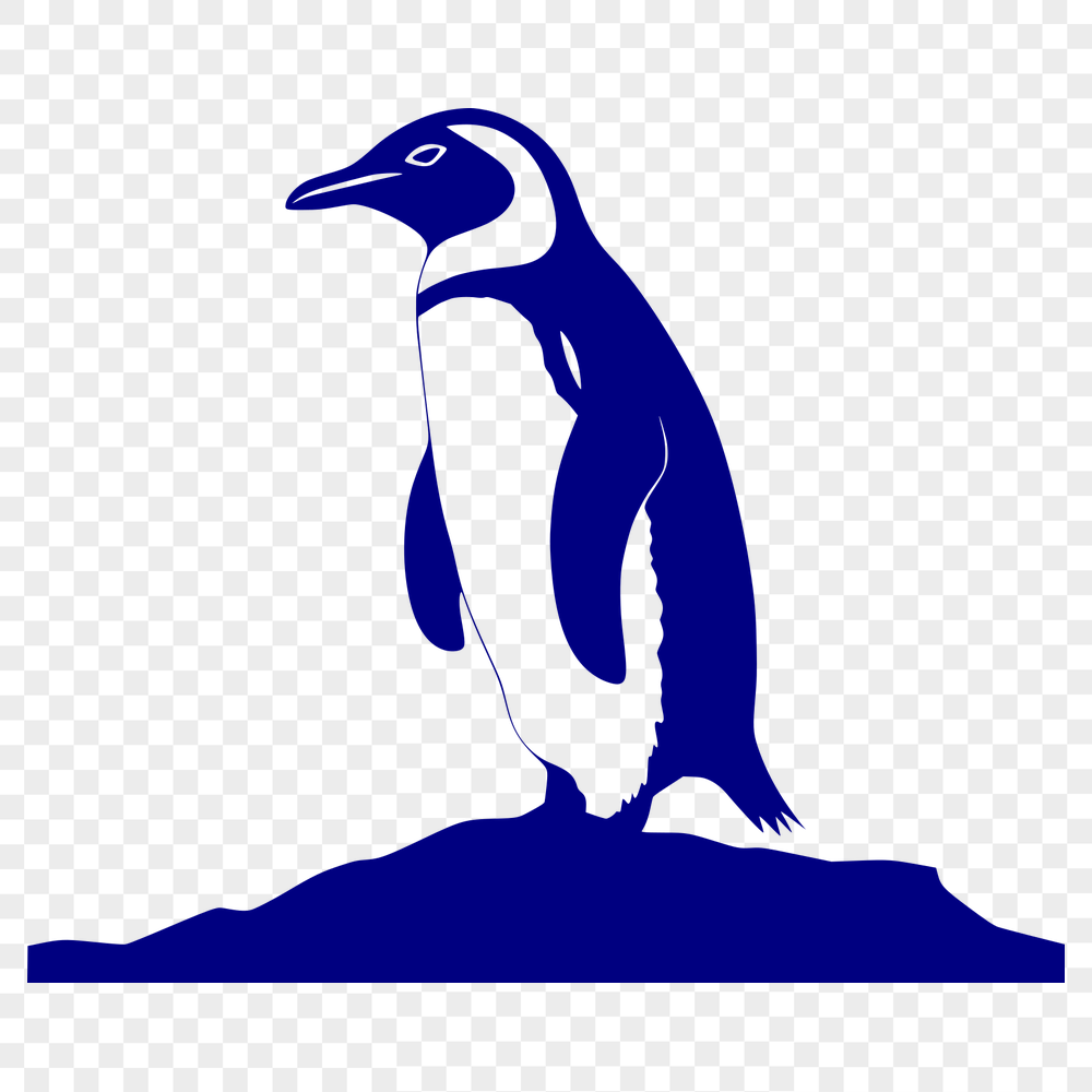 Unique Penguin Vector Illustration