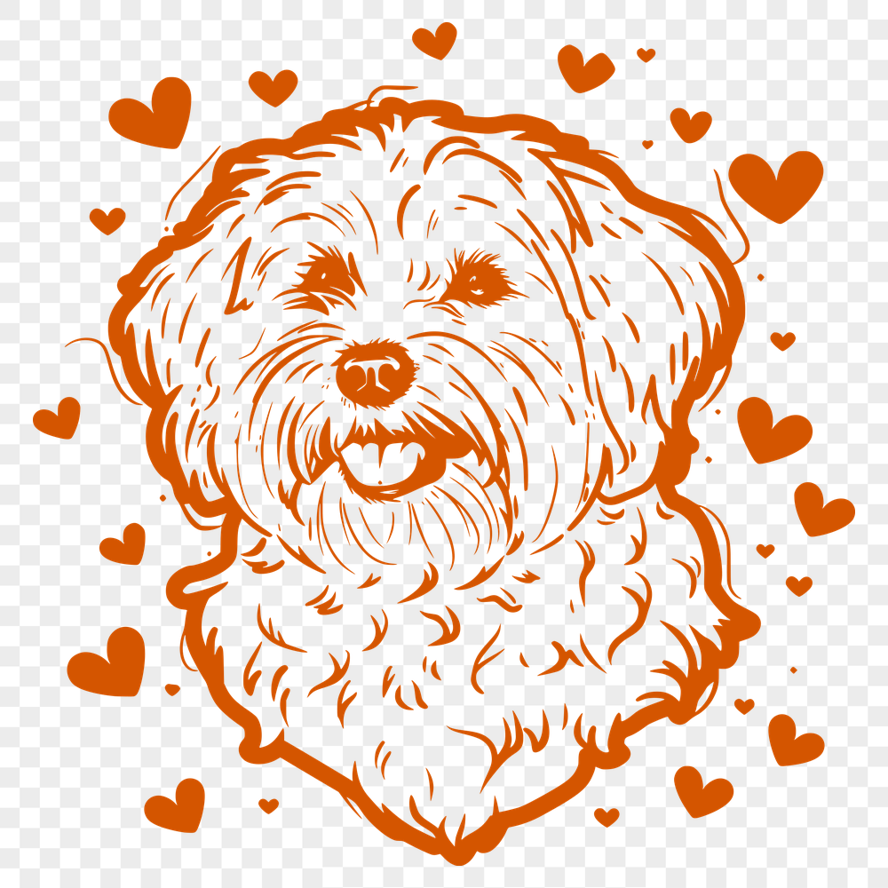 Creative Havanese Vector Drawing