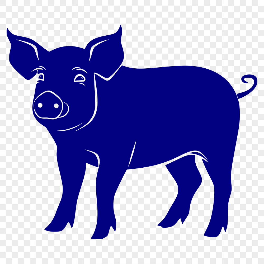 Standing Pig Vector Image