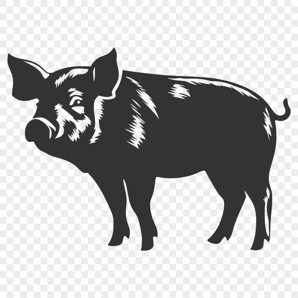 Creative Pig Stencil