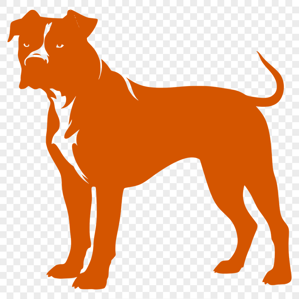 Free Pitbull Image