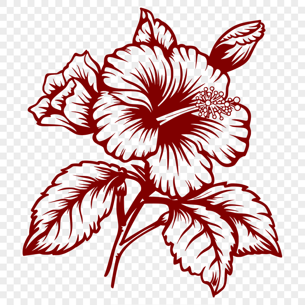 Free Unique Flower Image