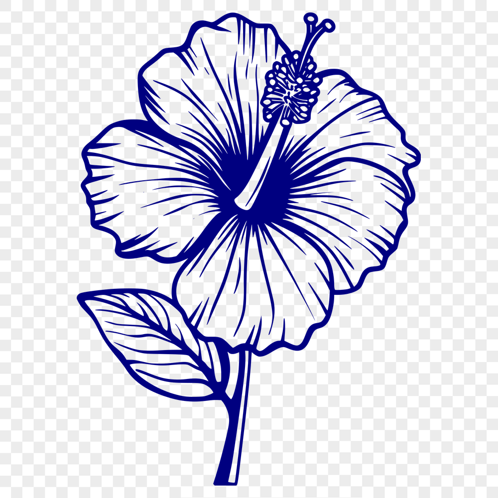 Unique Flower PNG