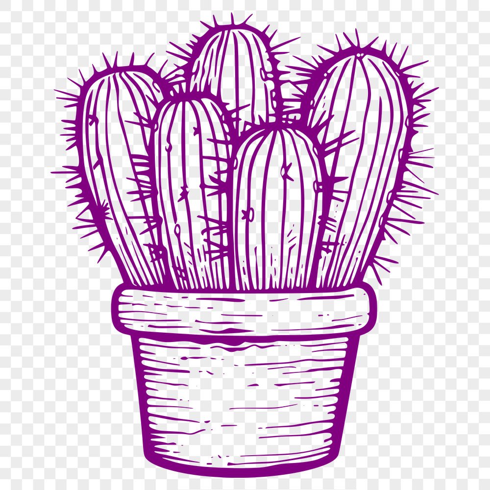 Beautiful Cactus Artwork