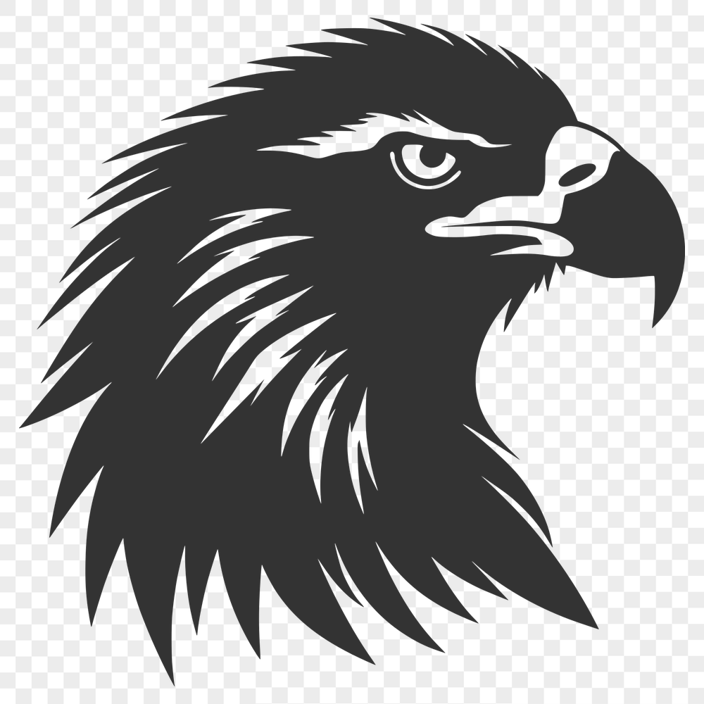 Free Unique Eagle Illustration