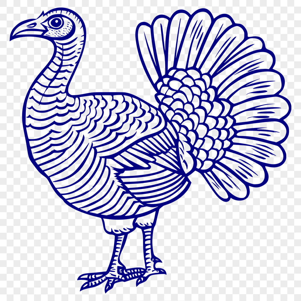 Free Turkey Design