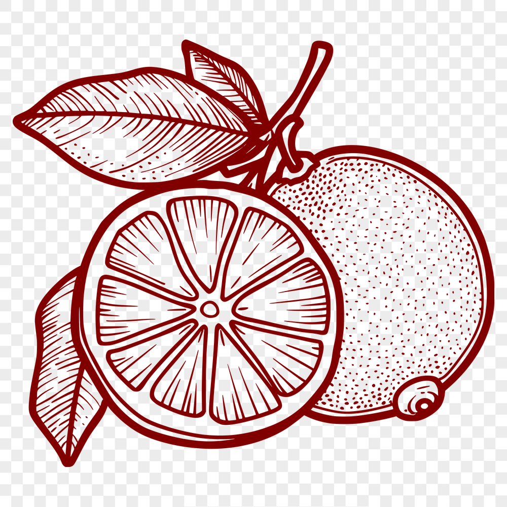 Beautiful Lemon SVG, PNG, PDF And DXF Files