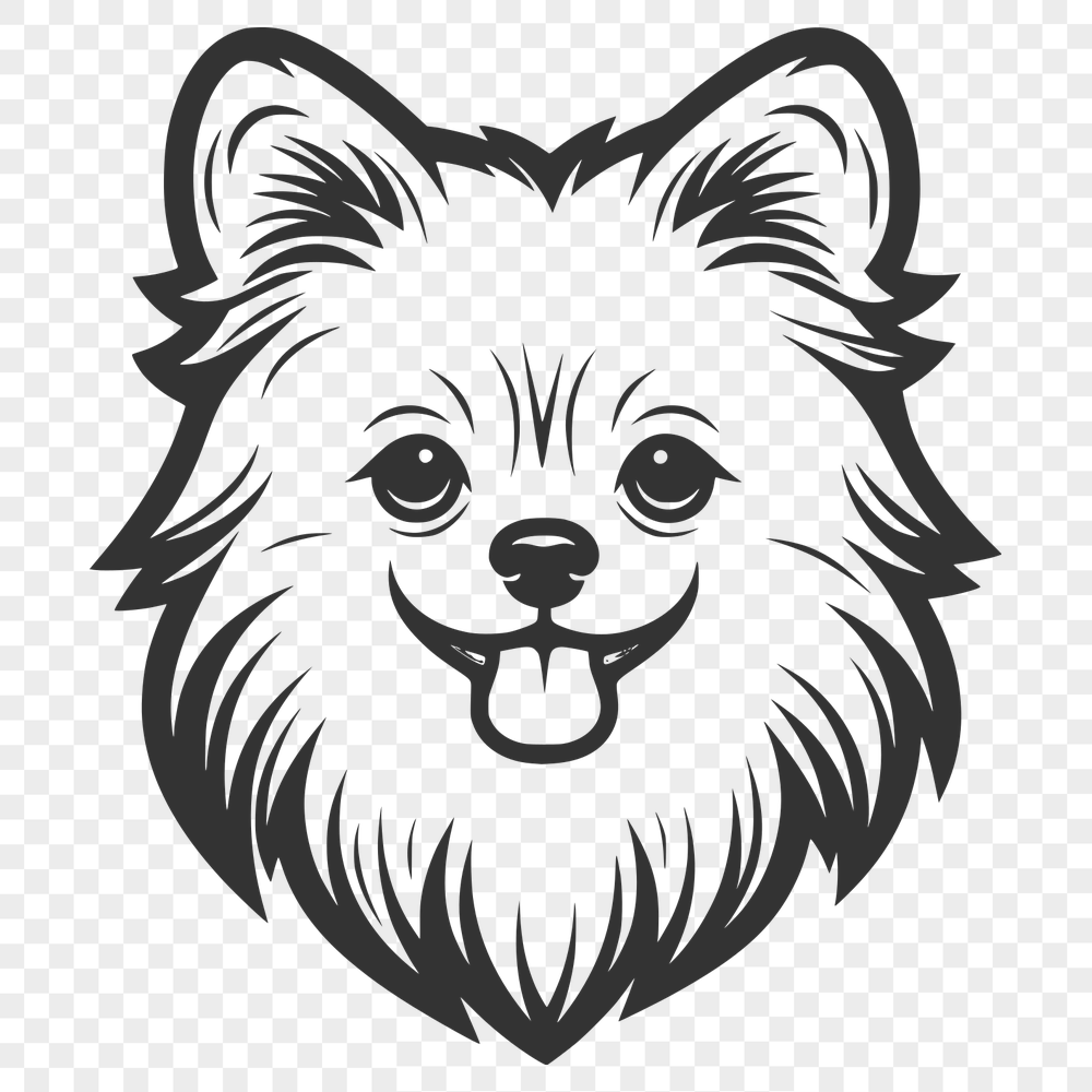 Pomeranian SVG, PNG, PDF And DXF Files