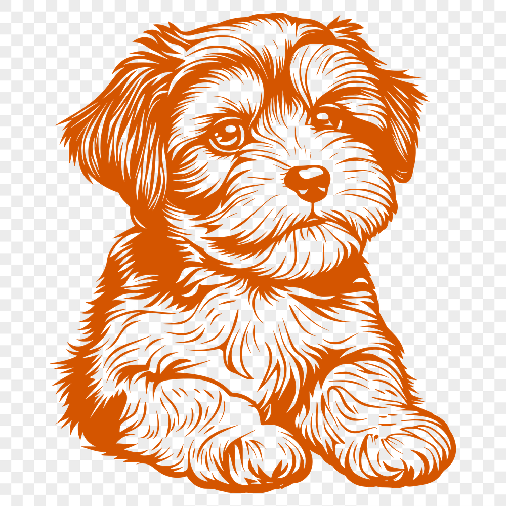 Beautiful Havanese - For Laser Engraver Project