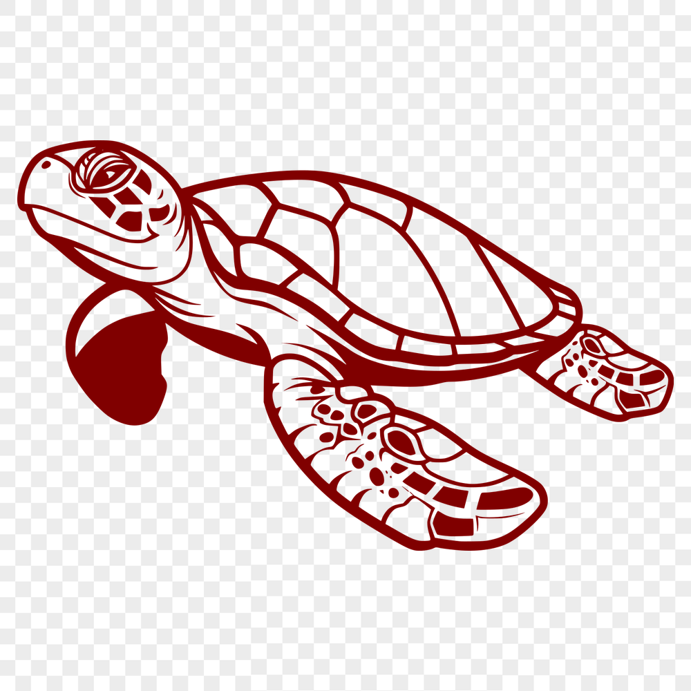 Unique Sea Turtle SVG, PNG, PDF And DXF Files