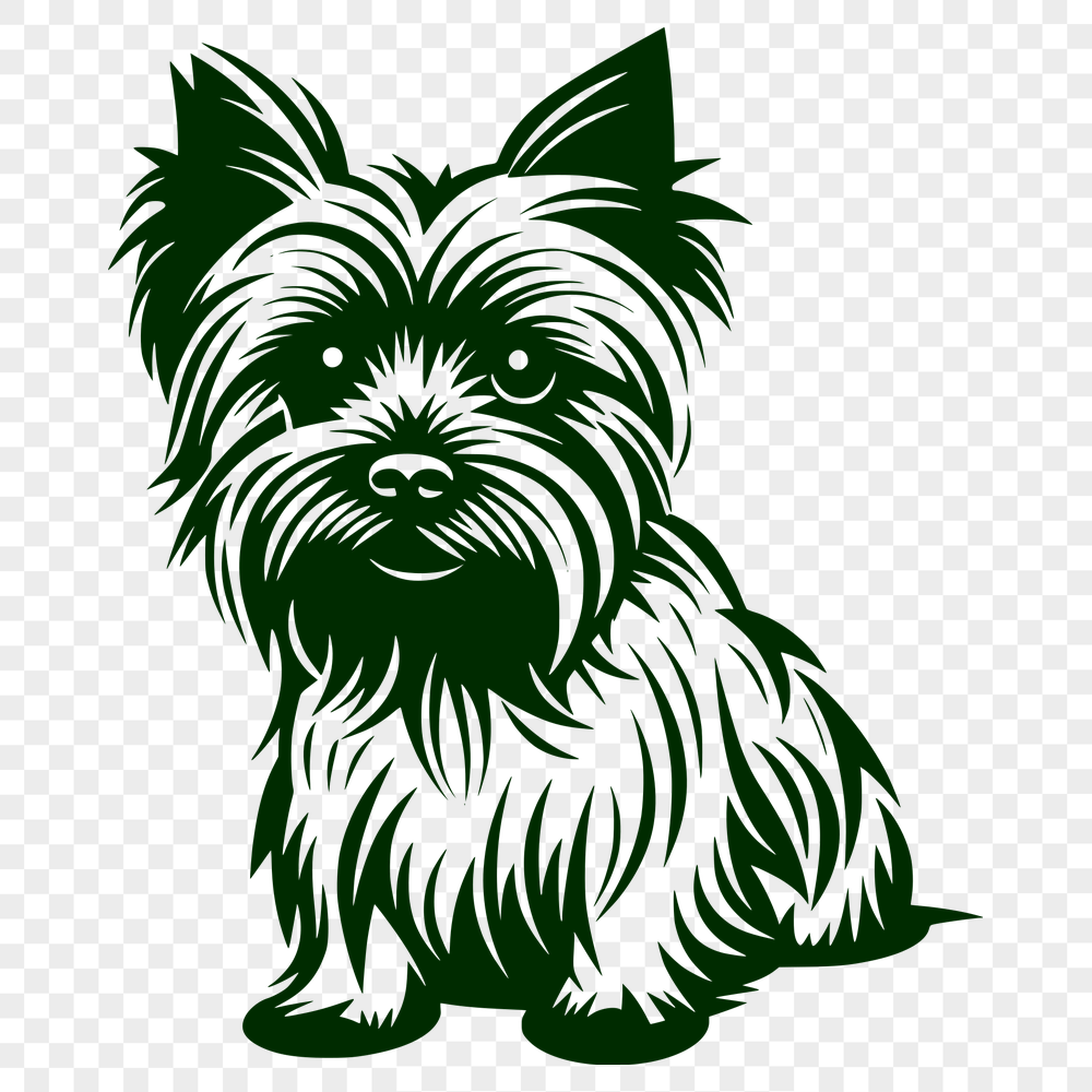 Artistic Sitting Yorkshire Terrier PDF