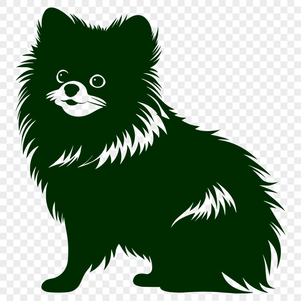 Sitting Pomeranian Drawing