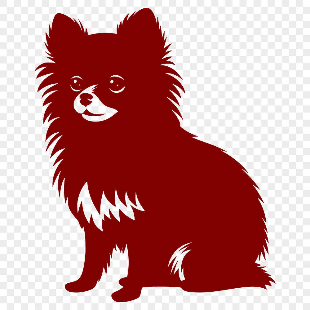 Unique Sitting Pomeranian PNG