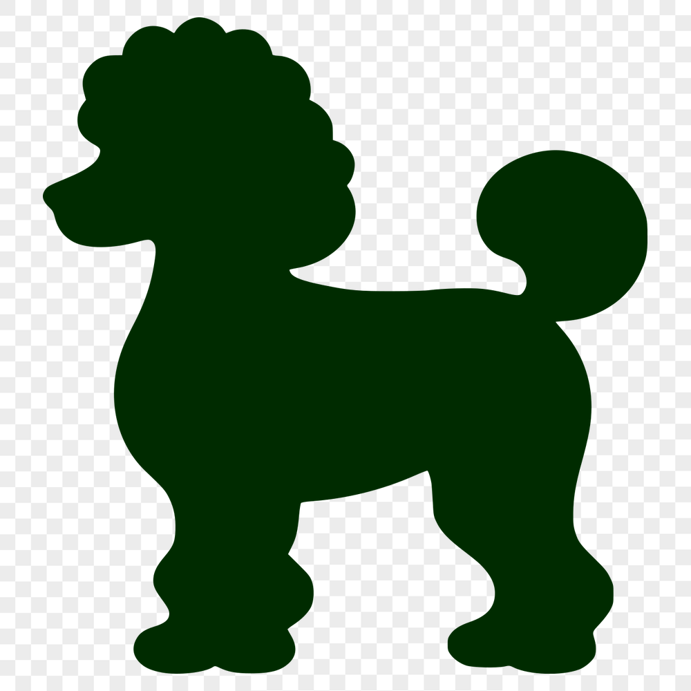 Unique Poodle Drawing