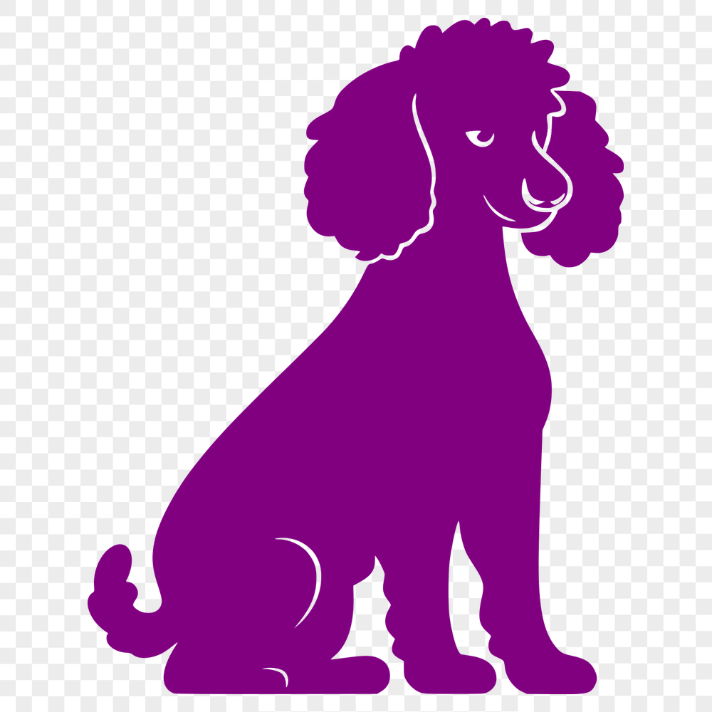 Artistic Poodle SVG