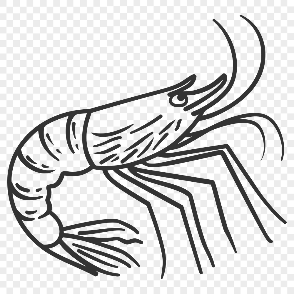 Unique Prawn - For Animal Project