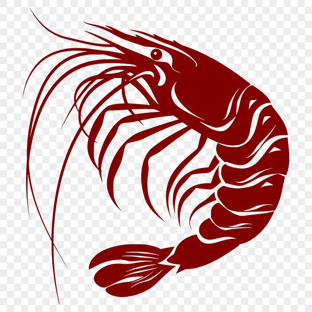 Free Shrimp Image