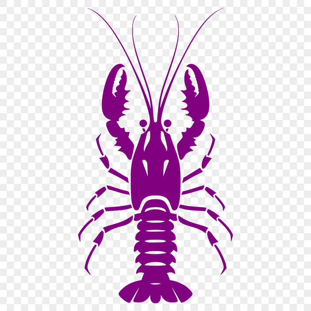 Free Shrimp SVG, PNG, PDF And DXF Files