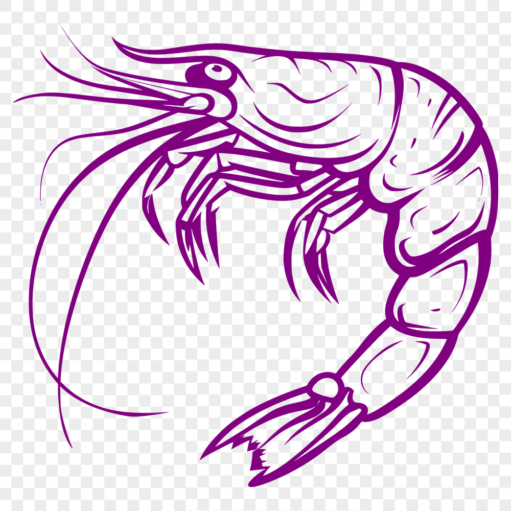 Artistic Prawn - For Laser Project