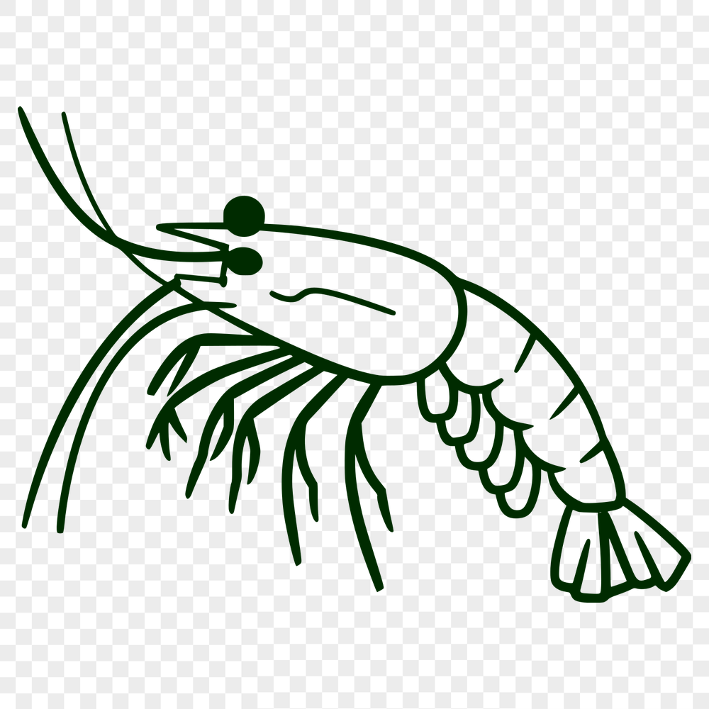 Unique Prawn Clipart