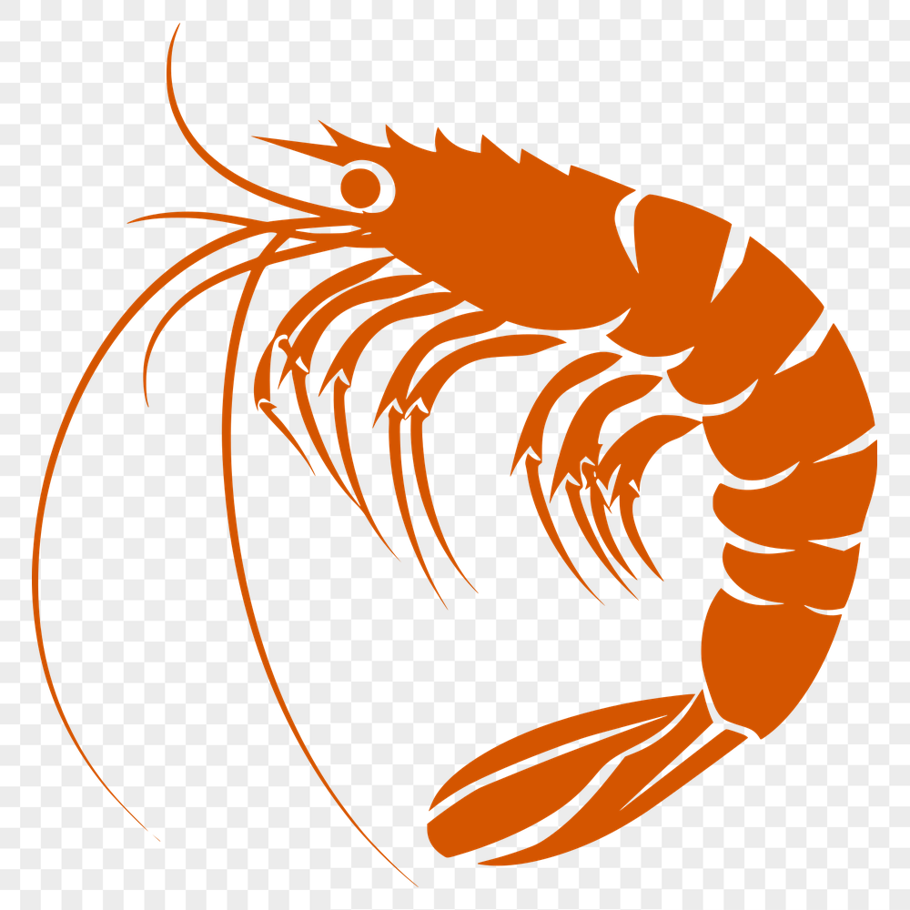 Unique Shrimp Decal