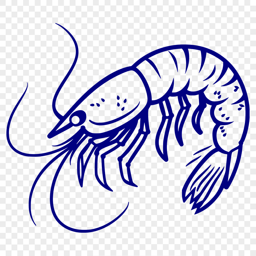 Beautiful Shrimp - For Cricut Project