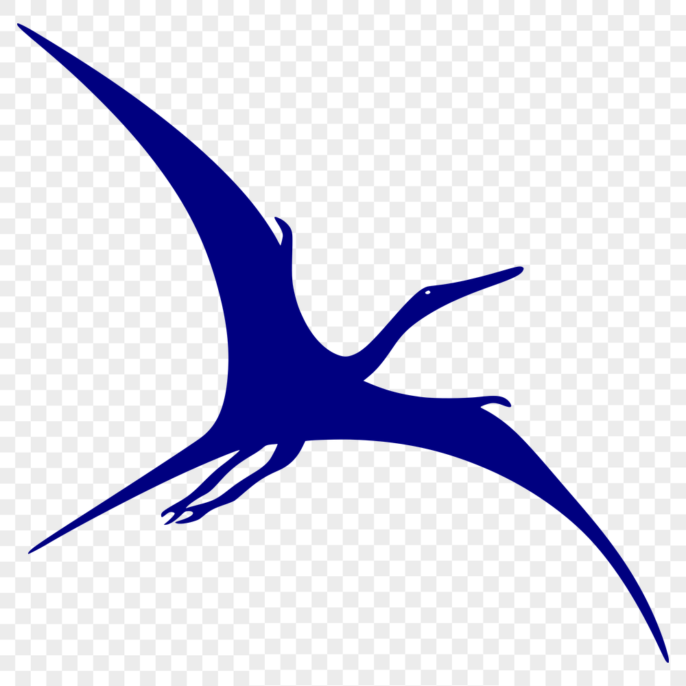 Free Pteranodon SVG, PNG, PDF And DXF Files