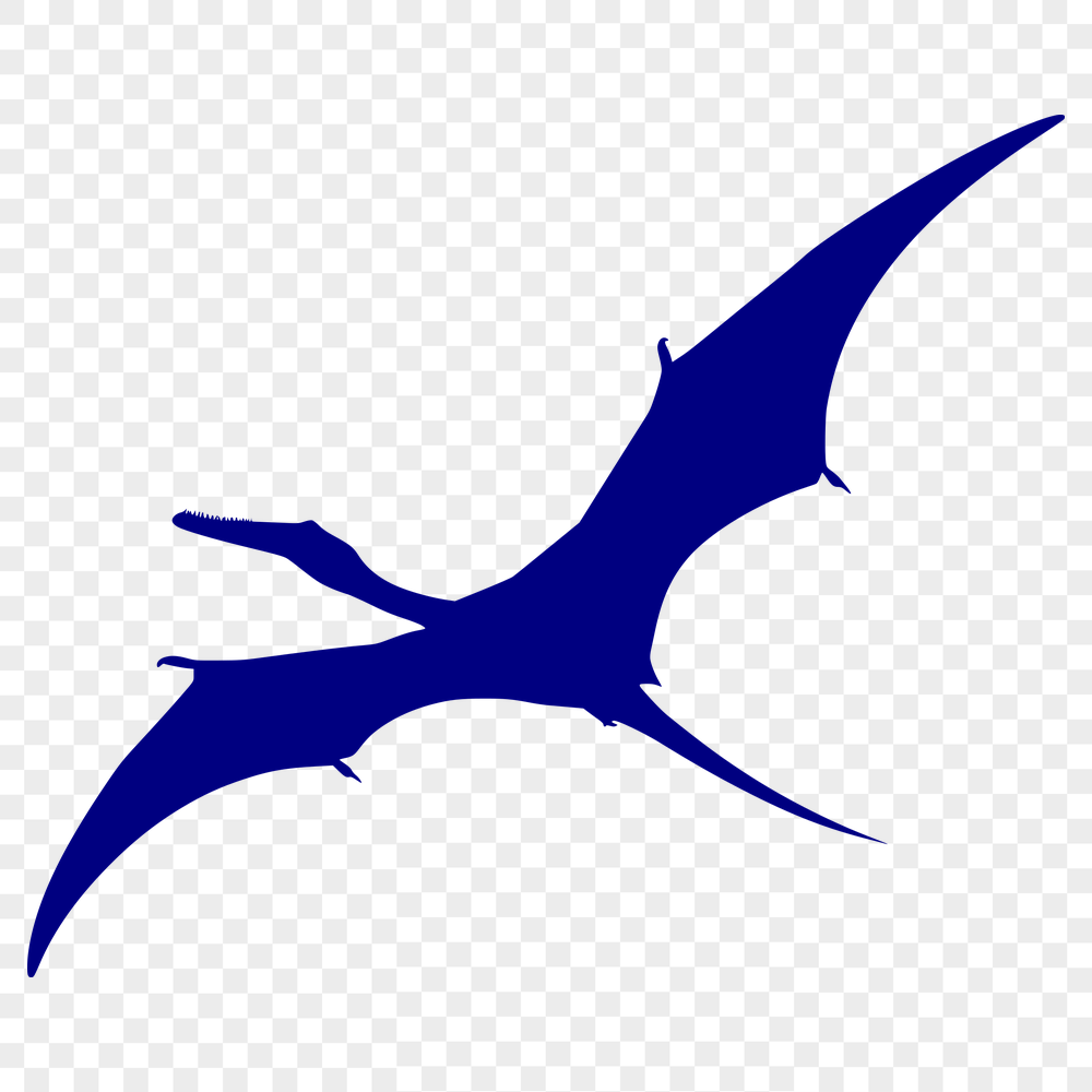 Unique Pteranodon Design