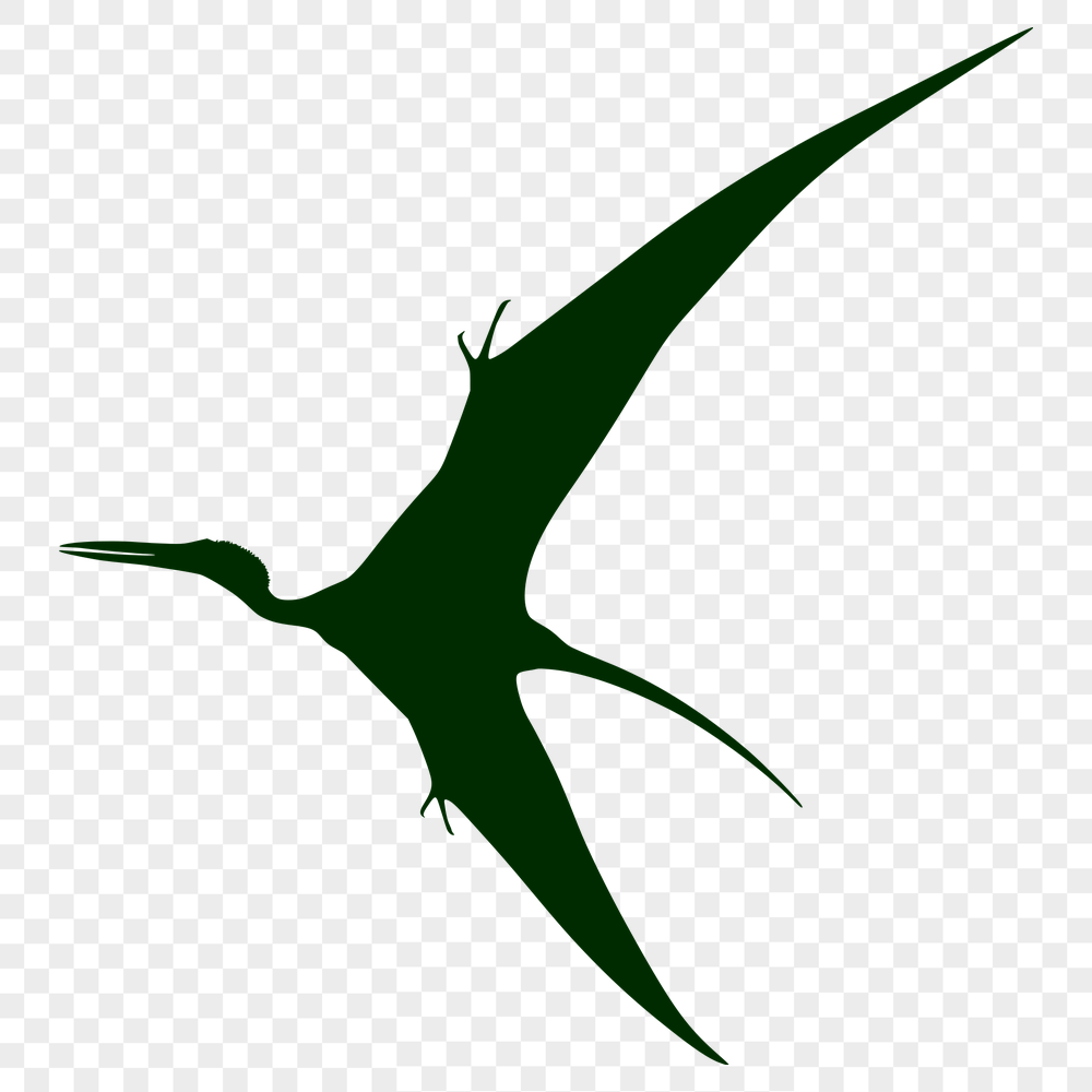 Artistic Pteranodon Clip Art